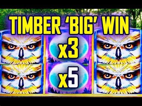 timbet big win - big win br